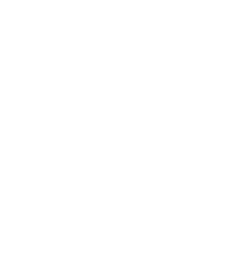 ptoject conversion